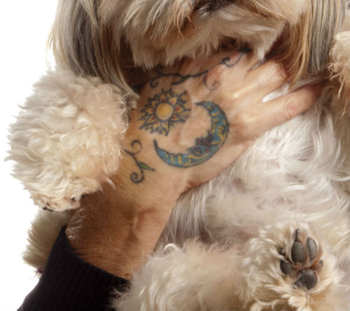 Petrene Soames - Pet Psychic, Tattoo