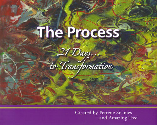The Process: 21 Days to Transformation